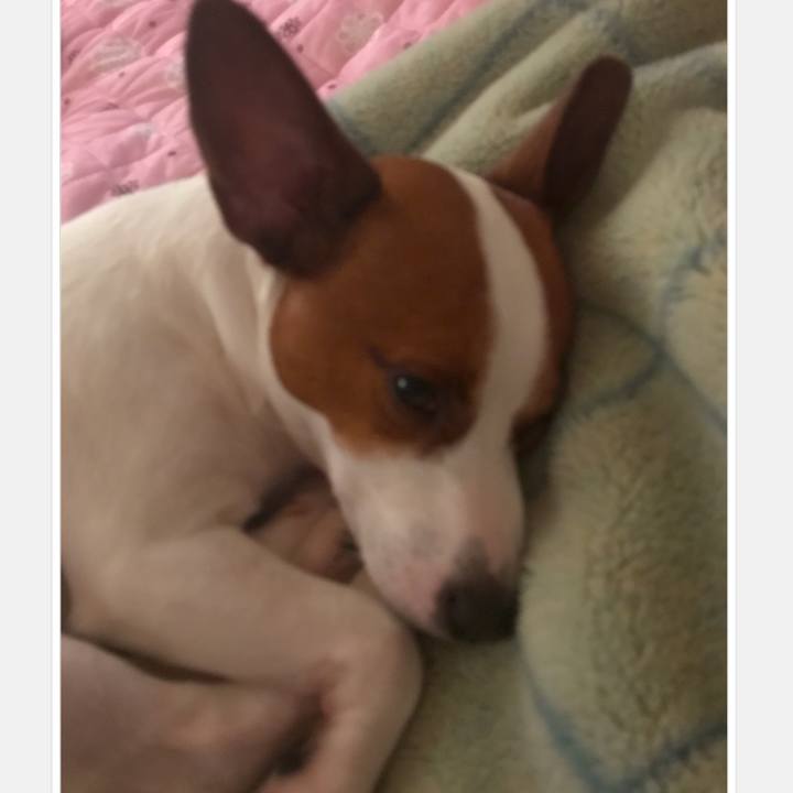 895eb161 e6a3 47bd 90c8 05504eff2b5a