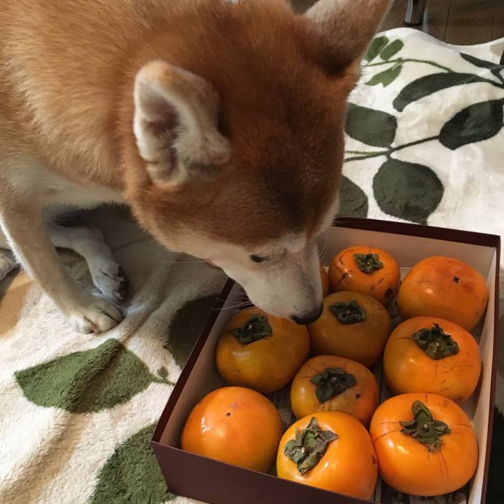 895f7b1d 5d1b 4daa bc03 0138e6f3081e