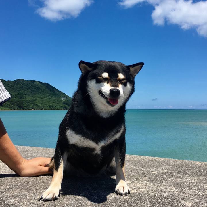 895fd3a6 b554 4d5c 881d 3ce0d8e585fe