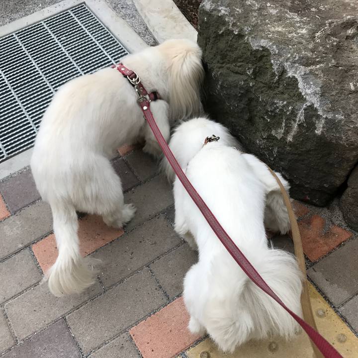 895fddd2 aae8 4b4c 93c0 aef35404aff8