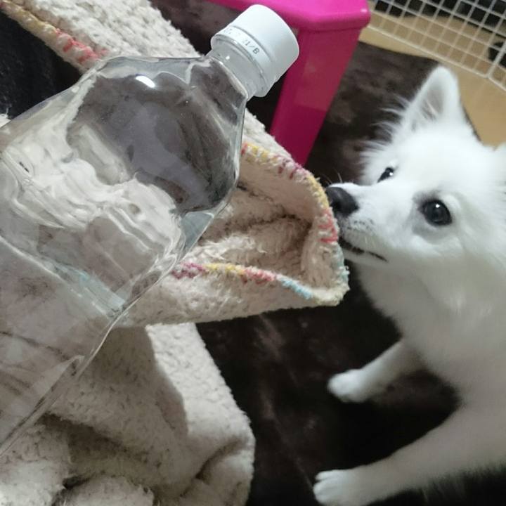 89608792 8dc4 475e bcdb 09a35821bc54