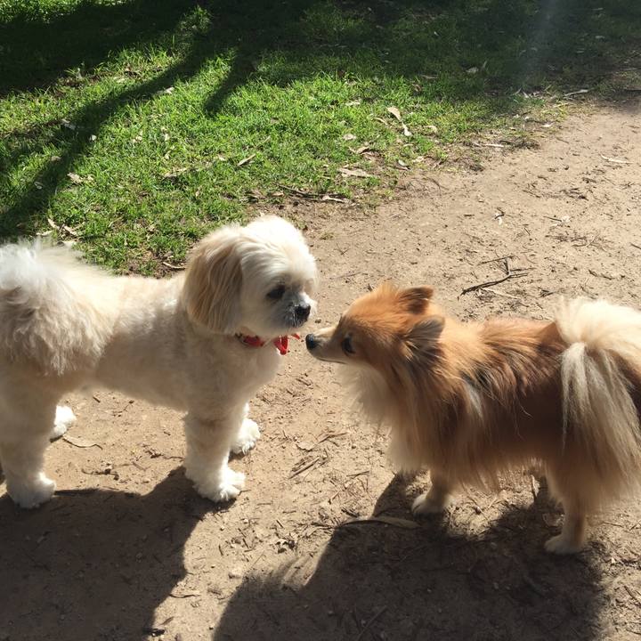 89616383 d0f7 4577 9a1a 38e29ec760ab