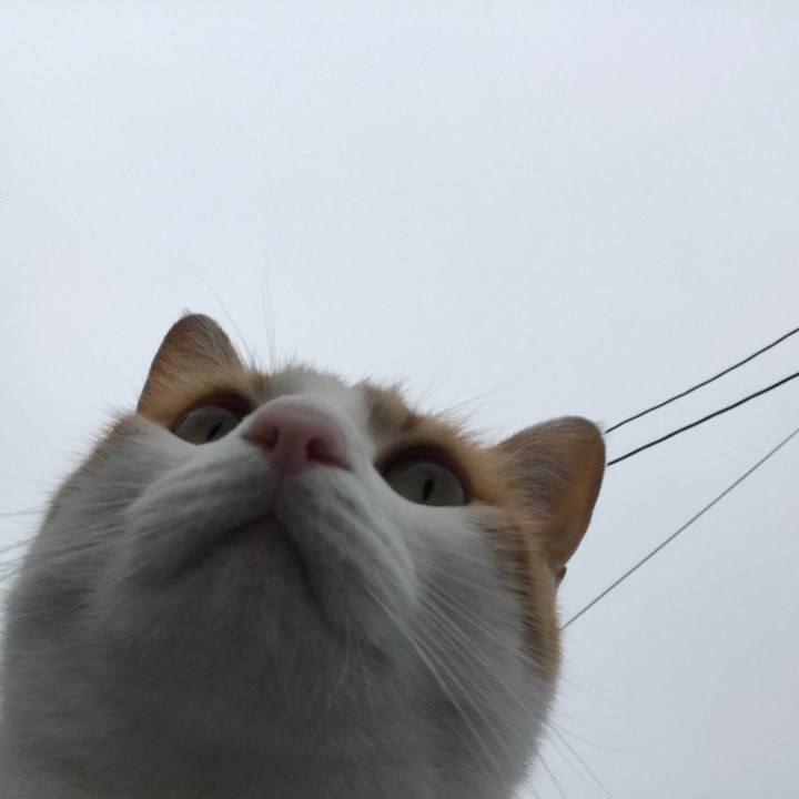 8961fe3e 508c 4136 aed2 a1eff0f680b7