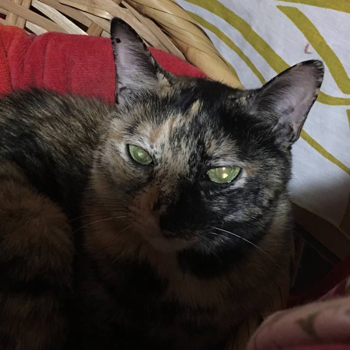 8962b4e2 d915 4313 b923 ed7d695490e7