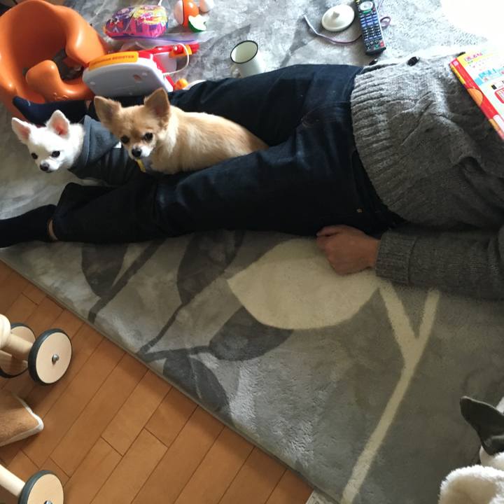 89630e90 0955 44f3 a013 c23c5e14d668