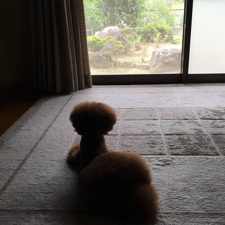 896314b7 3aab 46b1 adaf fdb2102e97e0