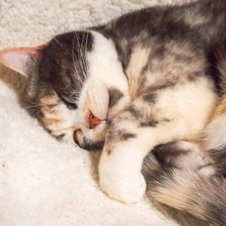 89635673 3fb0 4075 89df b2b704a98284