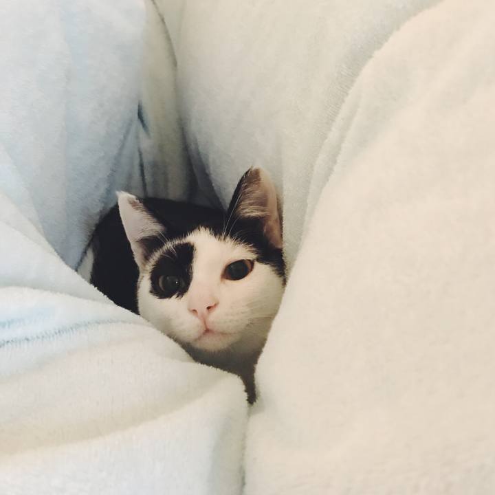 8963a0db 5da0 45db a90d 961b679ca433