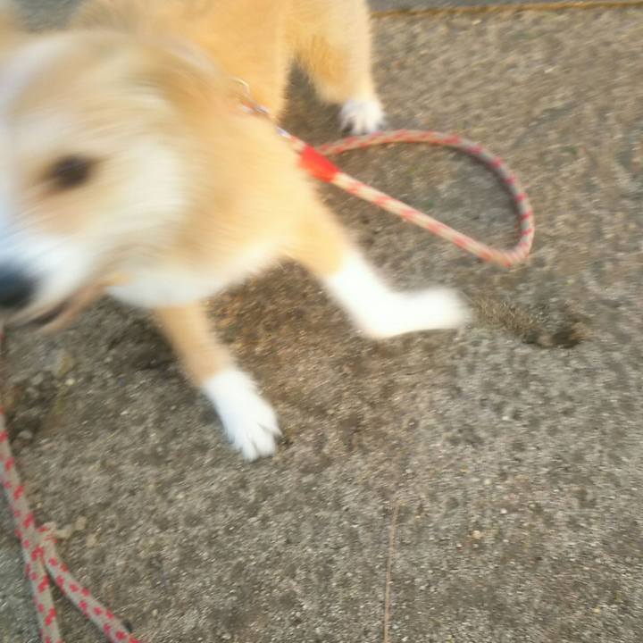 8963eb39 fd37 46c8 a1bf de6e7bfa9c92