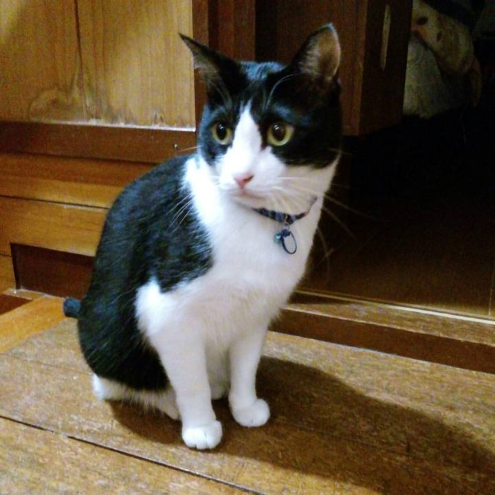 89650e55 06b6 4280 ac2e 22669fe0dddb