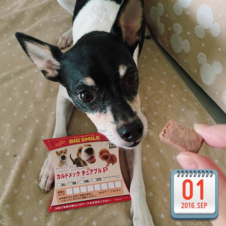 896554d1 e262 4904 9bb5 8f79899a5e16