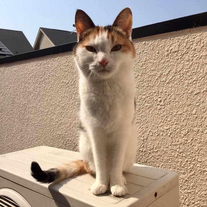 8965a7b6 da2d 4009 a66c fcfe45d8fb45