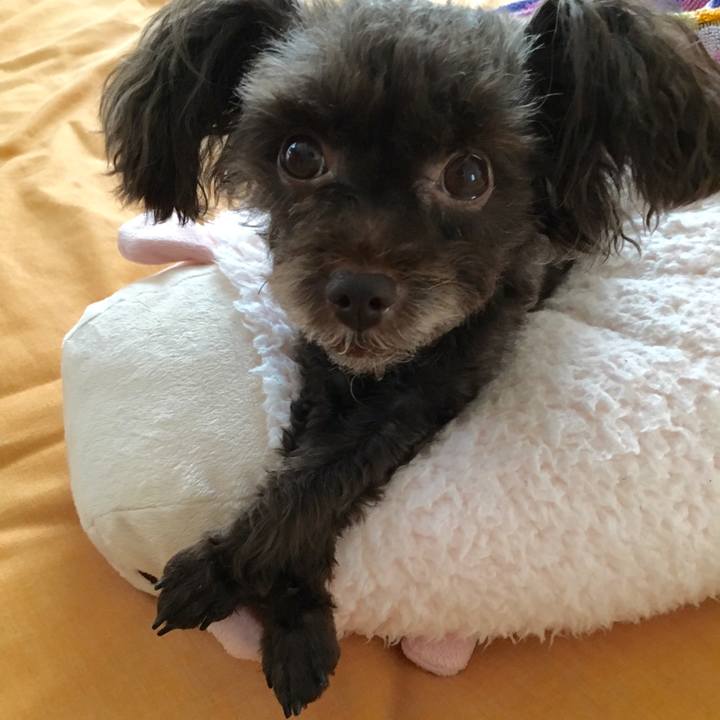 8965cdf9 7042 45c2 b91c 6e675f5935ee