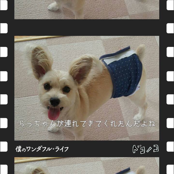 89666795 db33 4d3a 8396 3e76f6b7f81d