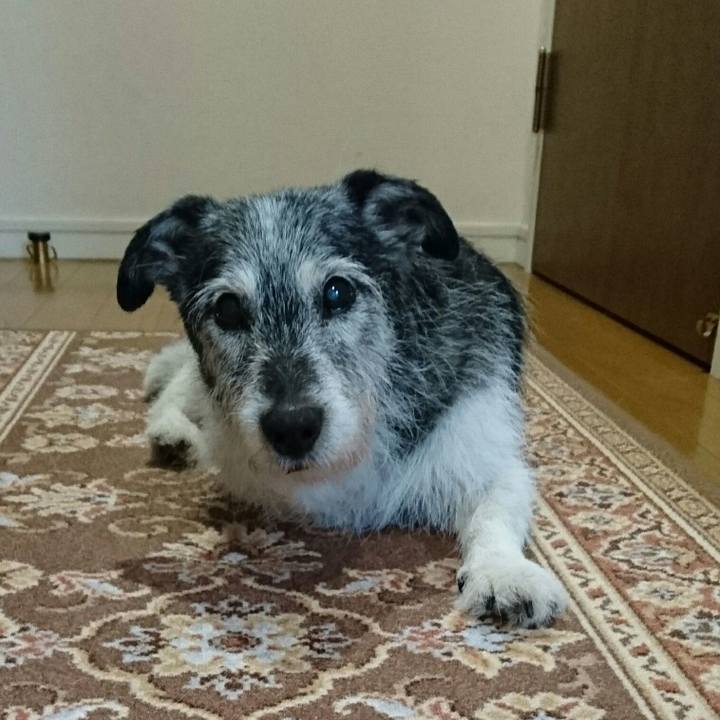 8966b8e4 69e8 458c 8386 b55bf8ab55f8