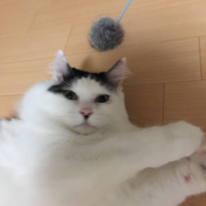 8967b4d8 ba91 481c ae9f b8c7393efa29