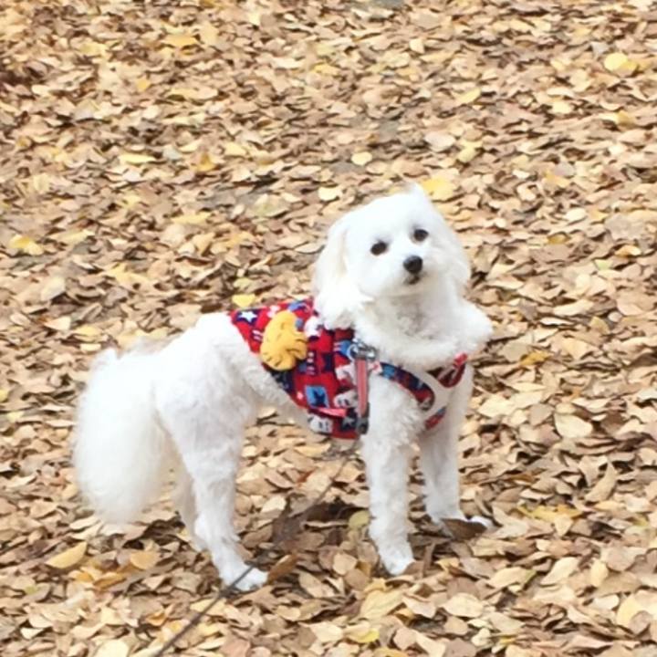 8967f509 c9eb 4740 8e40 cf4756eaaf64