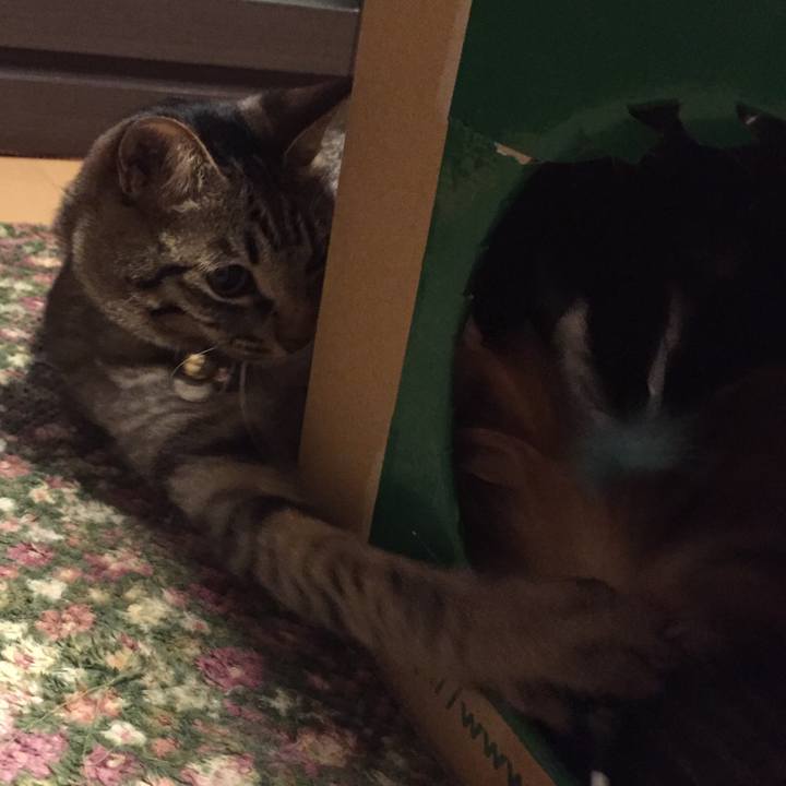 89687d42 d055 4719 acb7 4cf5fb2d99ad