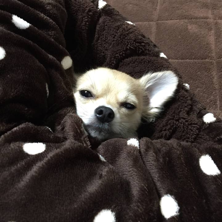 89688f47 d2e0 4ead 8caa 584aa89e2bb7