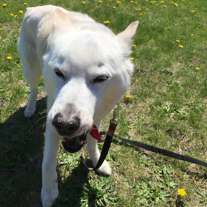 89693597 581e 40a4 b779 2b30ed6551bb