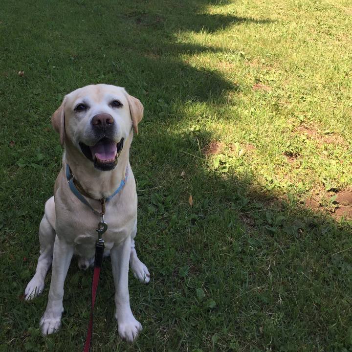 89698099 e2d9 4ee3 93bd 4b3a1b48b85c