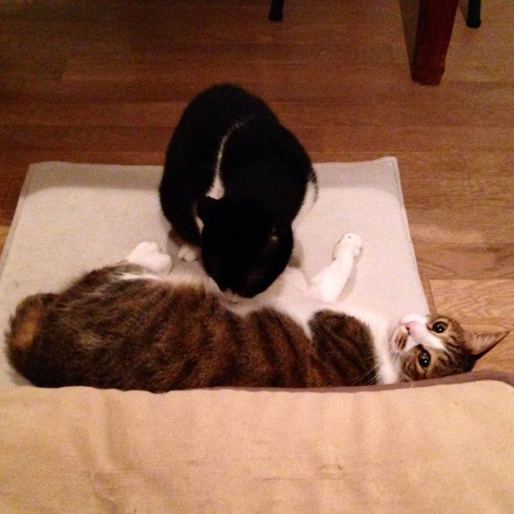 8969adf8 c9ec 48fc 9f0d 48636bbdbff4