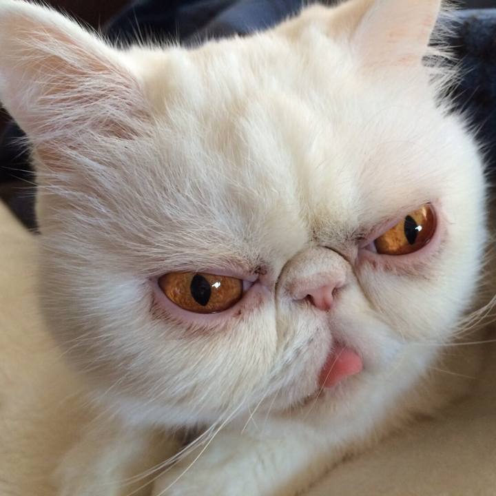 8969f0b4 e272 465b 863e 4eef8e93ffe3