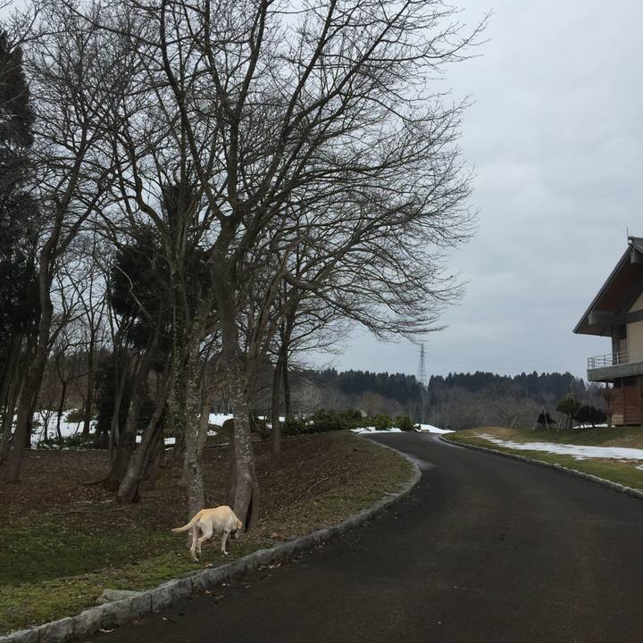 896a347f 263b 4037 a3f9 f1c8f28fed97