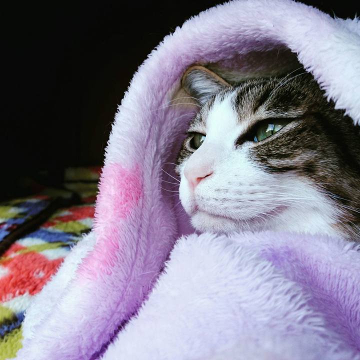 896a53f7 fe9b 4067 a24c 9d422d8fe526