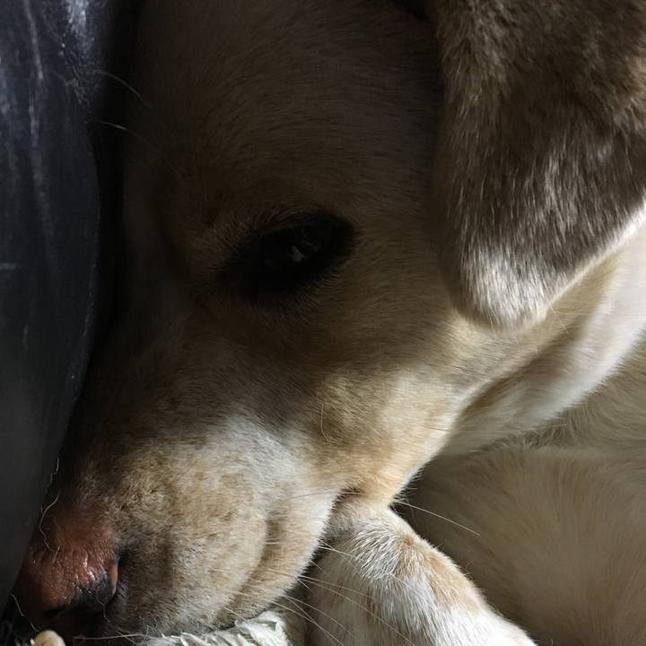 896a819e 58ba 44b6 a5c2 9fc675c77250