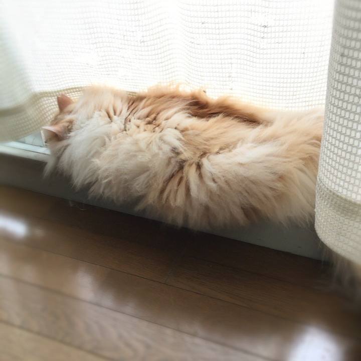 896ac371 fbb5 4225 b833 034d541c28cc