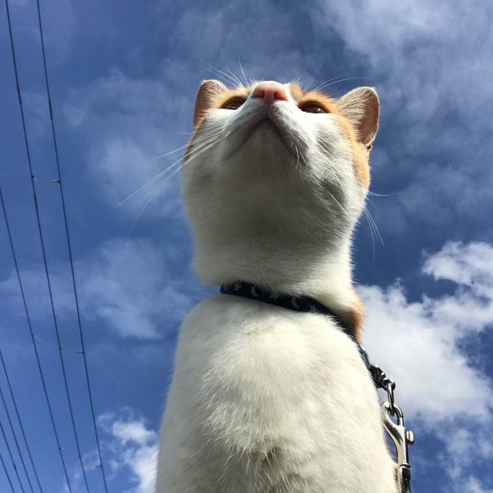 896ac76d 5211 49f9 9d7a 80194a2b32eb