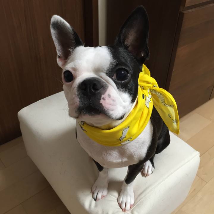 896b084f 1035 4005 b35a 71a192bb4a0f