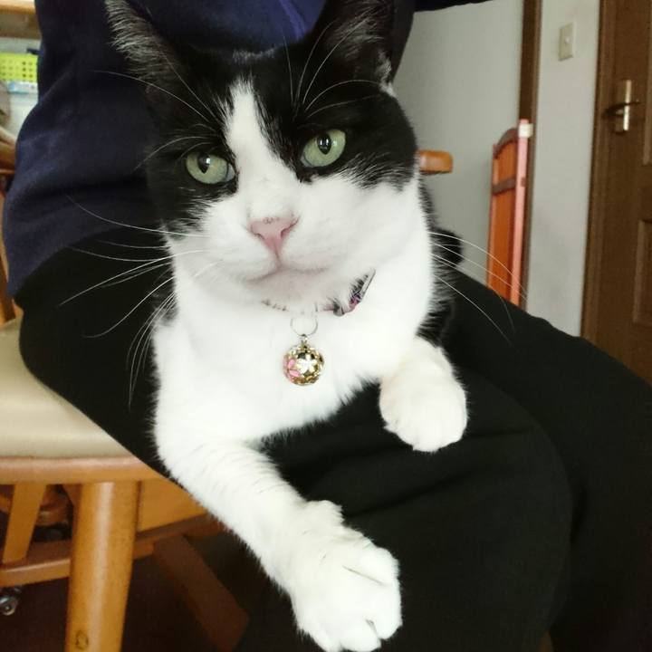 896b90b0 ab72 4d14 bc99 add38b85b40a