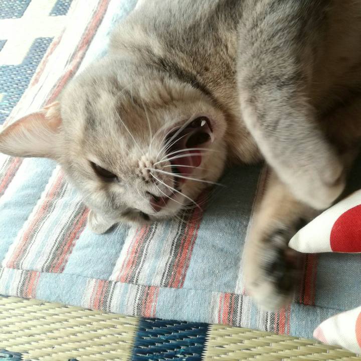 896bcf33 d457 4fba 938d bd2bc6022d8a