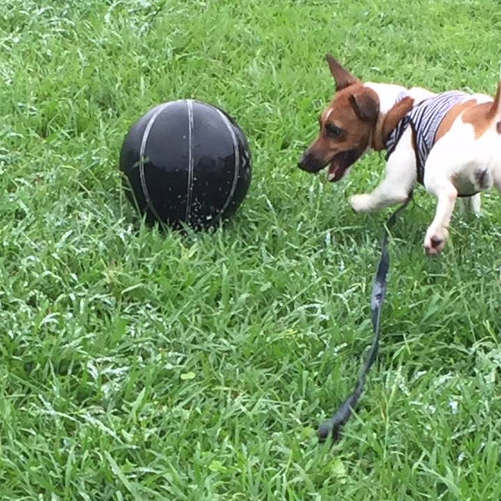 896beef9 2478 4abd 9b10 dbfdce76057c