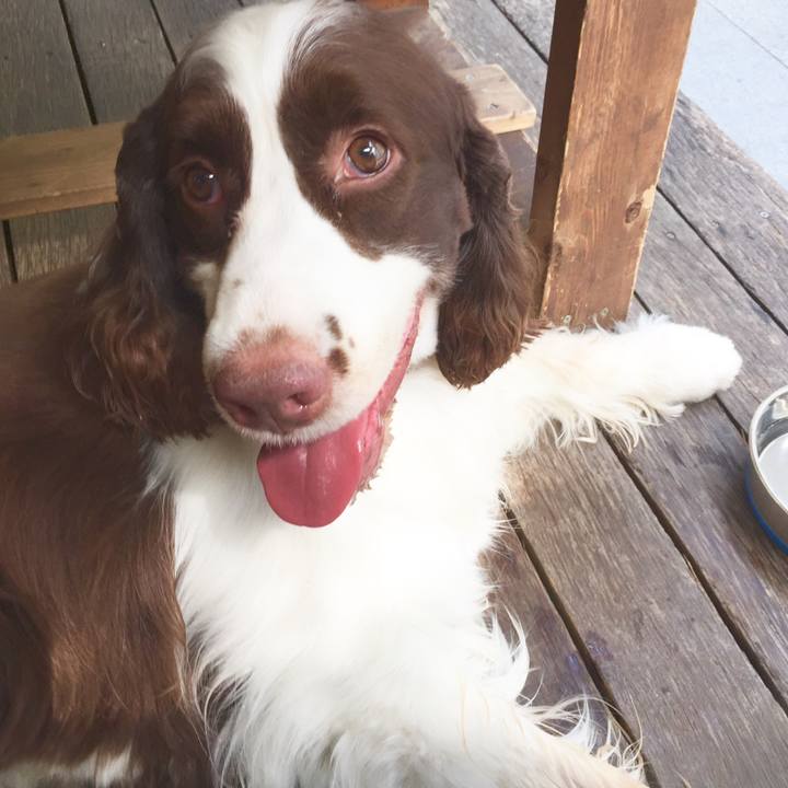 896d905f db79 4c82 a4e7 7fe6dde39509