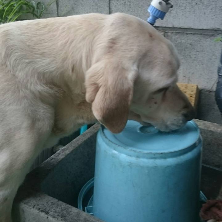 896dad1c 0bdd 4750 bd3f d834443dc9a5