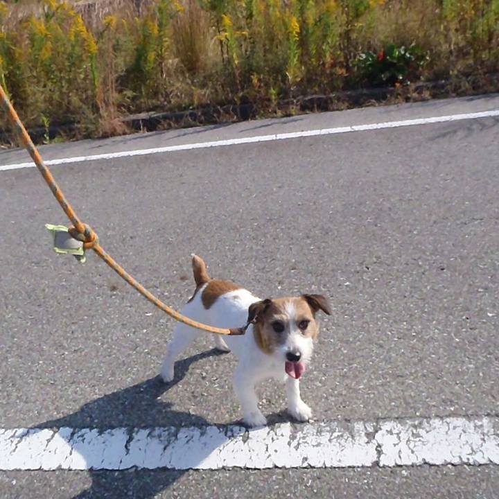 896e94e4 9dd9 4770 a53a e95db191b17d