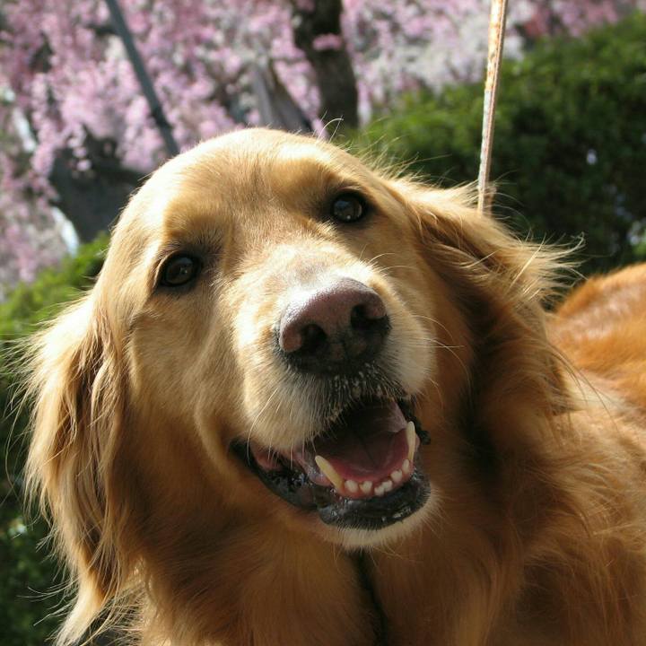 896f8901 4dc8 4fec b224 dbf2ec4a3211