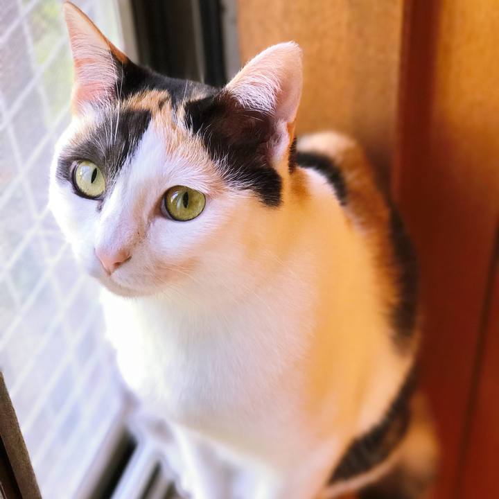 8970767b a75a 4589 aba4 e971645bd8d6