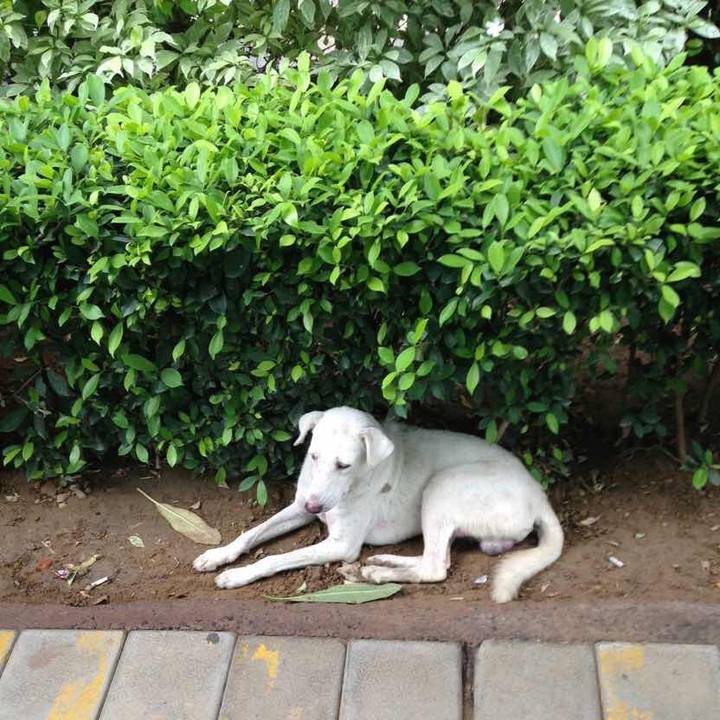 89717575 ff20 4991 b77d cff165e83aed