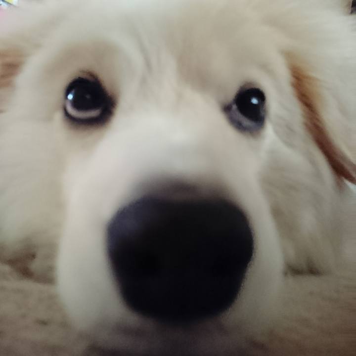 897304d1 3008 4431 8c76 b517af1d489d