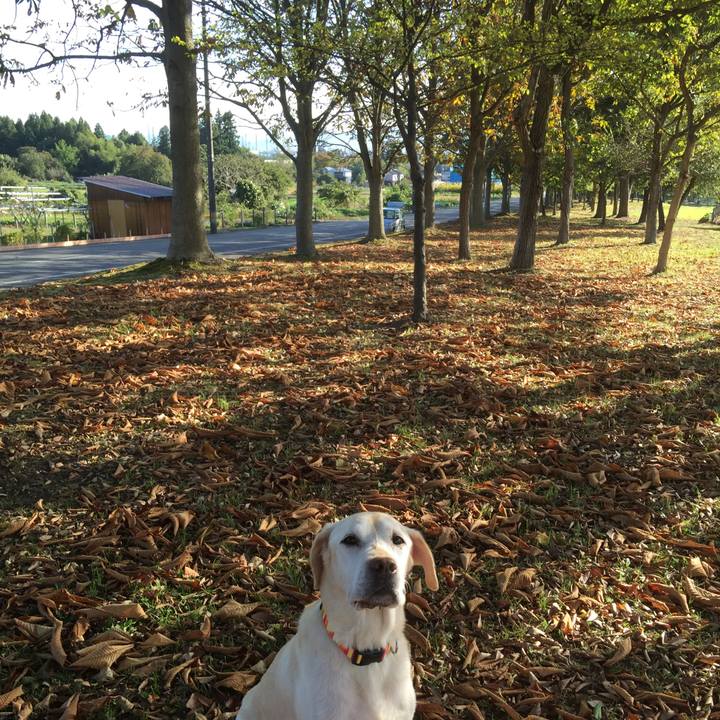 89735cd6 06af 4a8a af67 fff7faeb84ff