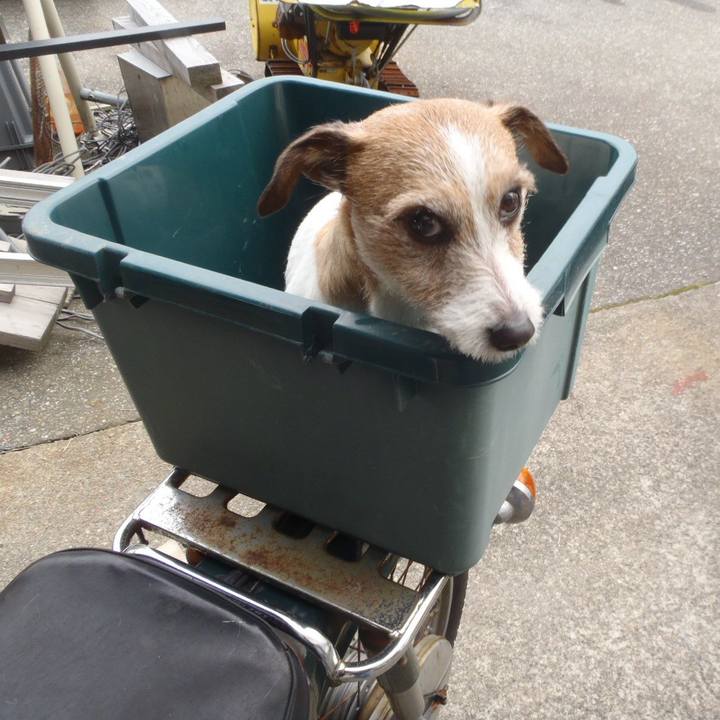 89739a0e 81ac 4a1e 9af3 d2393eb1c77d