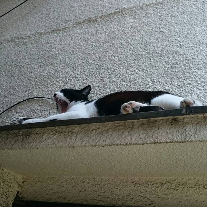 89748024 a8f2 4bd6 b6a5 e448db943acf