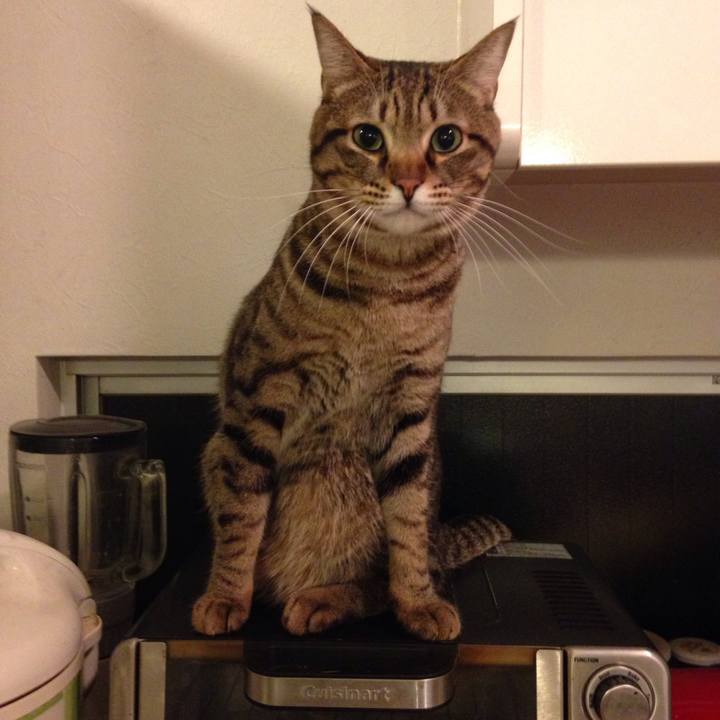 8974ccd7 07b1 4e3b 8841 f5aea2cf60b8