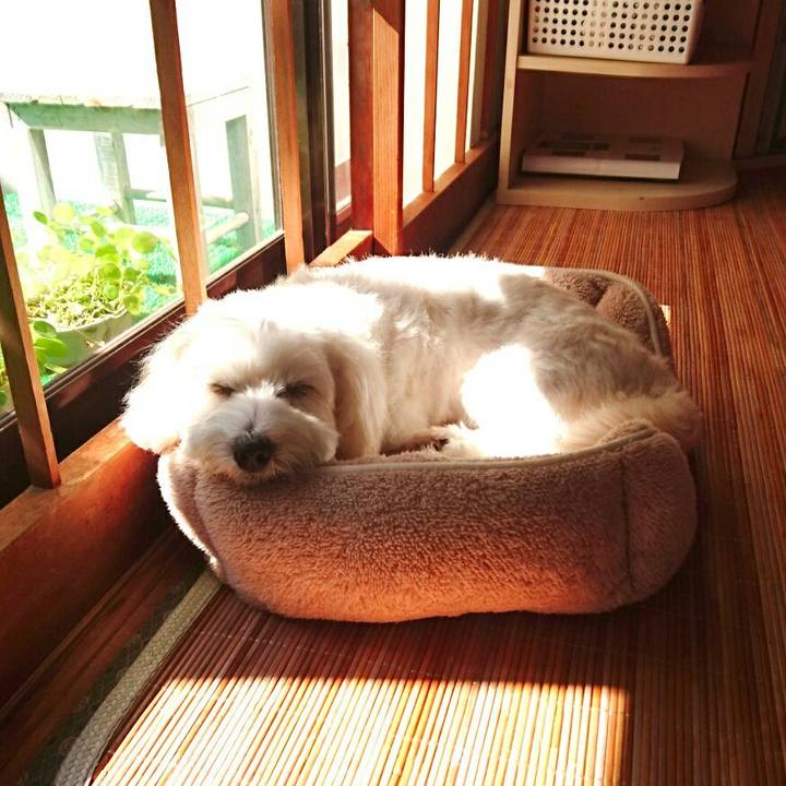 8975461a e7a1 4b8b ba2c 865a4f687eaa