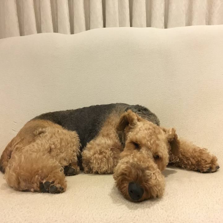 89763e9a b02d 4a50 a9ce 9be86a94f29b