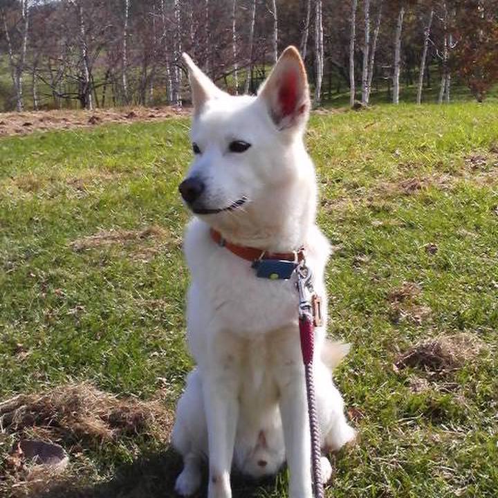 89764228 9888 41f5 8f31 2d16ec99ab0d